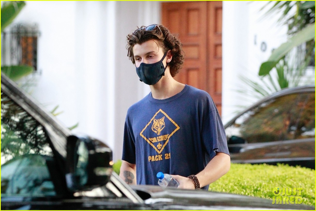 Shawn Mendes & Justin Bieber Spark Music Collab Rumors After Meeting Up at Recording Studio