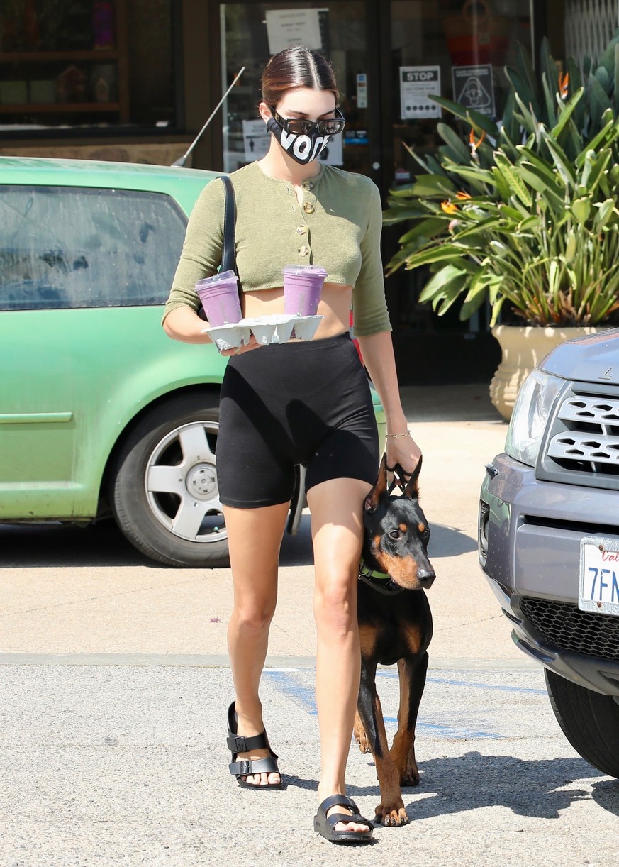 Kendall Jenner Brings Dog Pyro On a Juice Run With Her