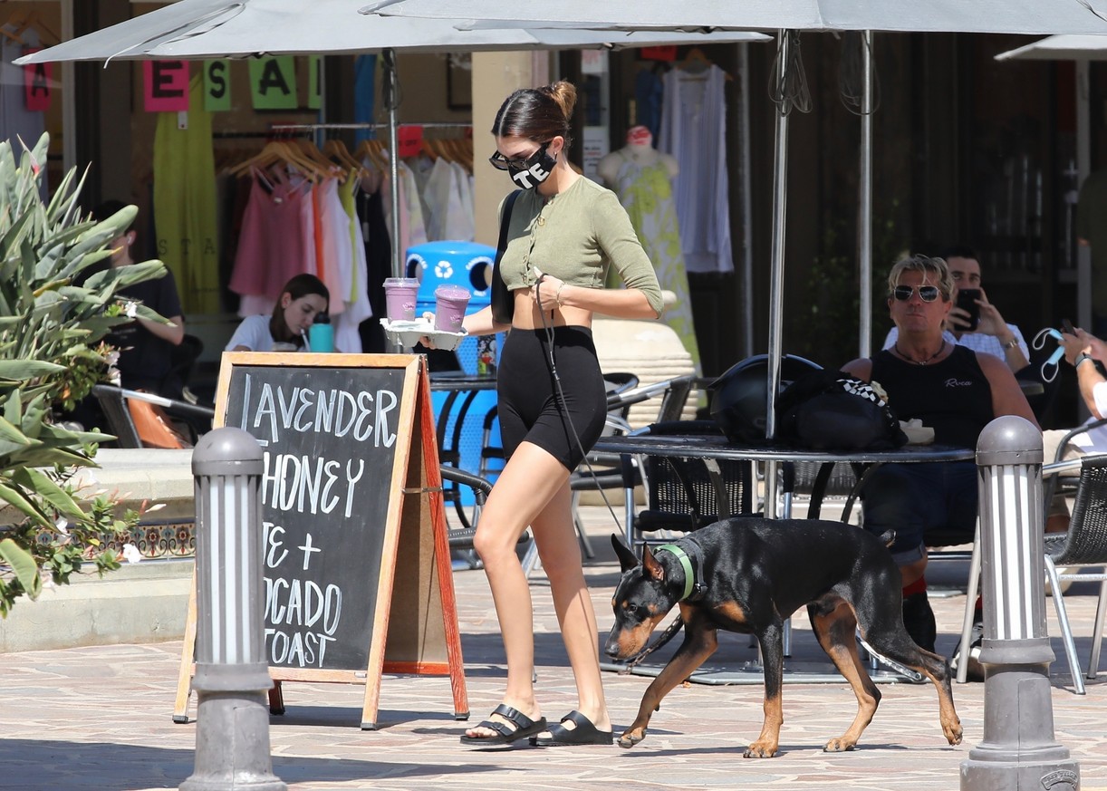Kendall Jenner Brings Dog Pyro On a Juice Run With Her