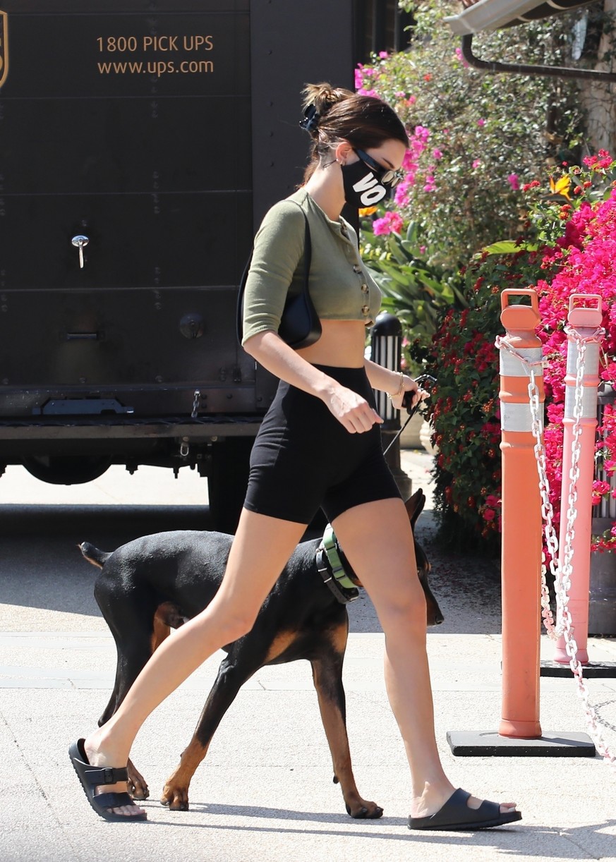 Kendall Jenner Brings Dog Pyro On a Juice Run With Her