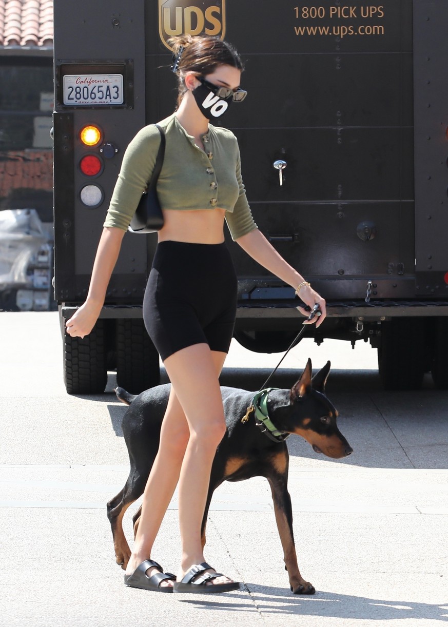 Kendall Jenner Brings Dog Pyro On a Juice Run With Her