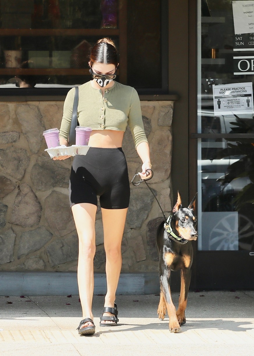 Kendall Jenner Brings Dog Pyro On a Juice Run With Her