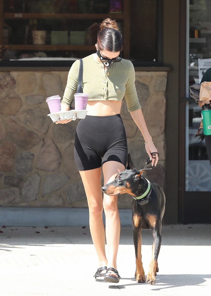 Kendall Jenner Brings Dog Pyro On a Juice Run With Her