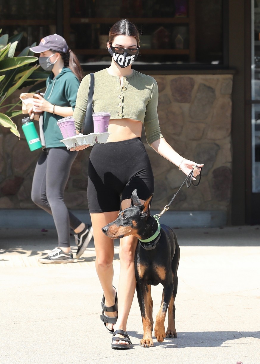 Kendall Jenner Brings Dog Pyro On a Juice Run With Her