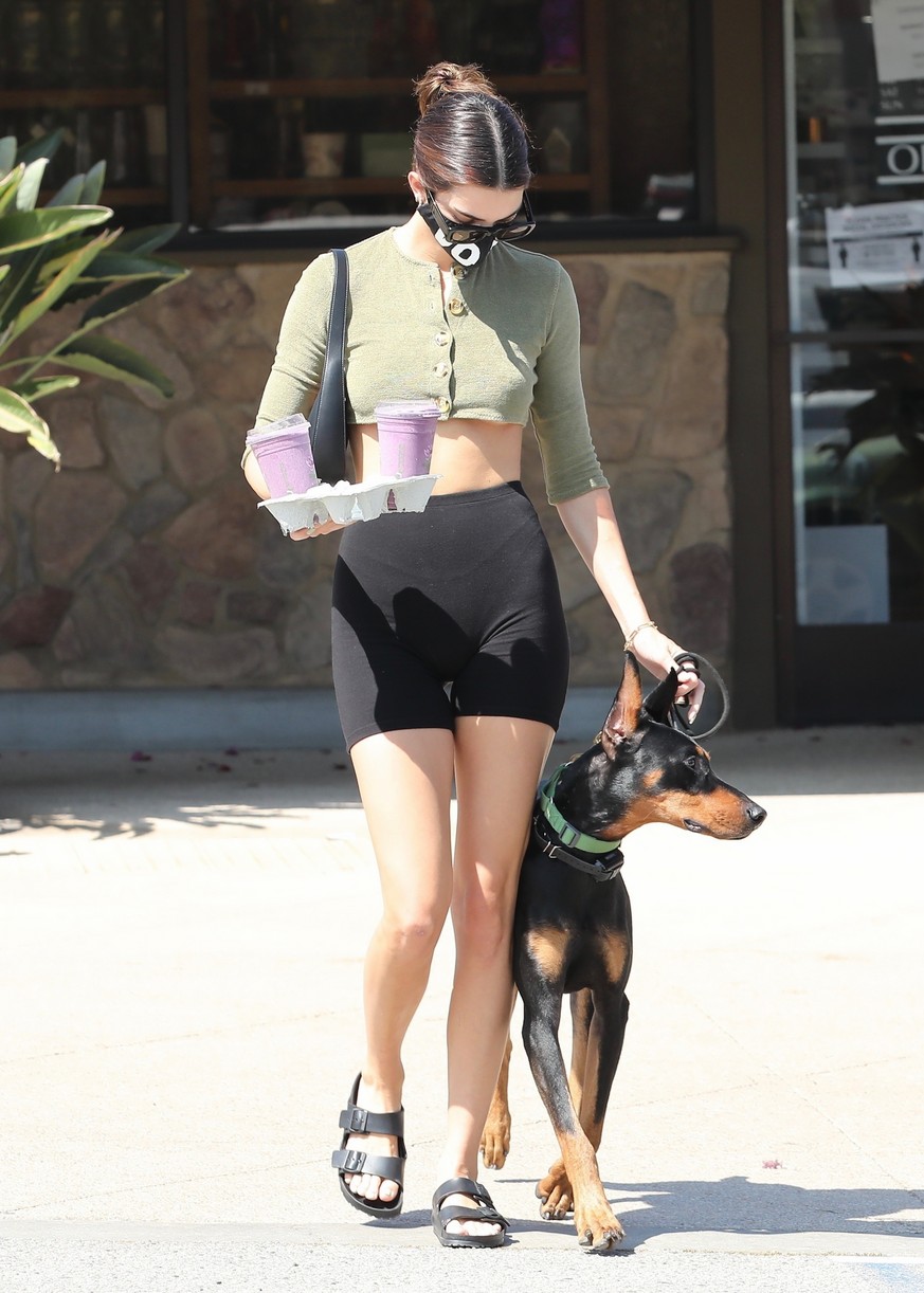 Kendall Jenner Brings Dog Pyro On a Juice Run With Her