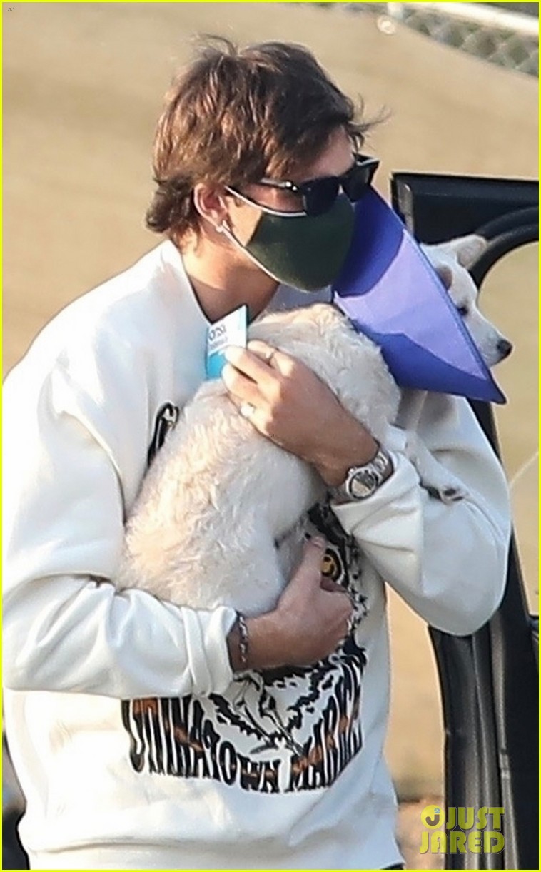 Jacob Elordi Picks Up Kaia Gerber's Pup From The Vet
