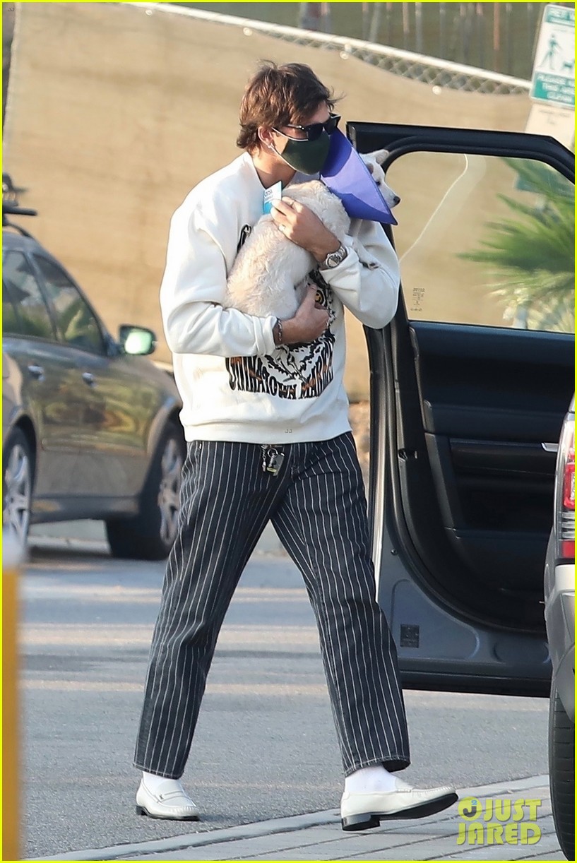 Jacob Elordi Picks Up Kaia Gerber's Pup From The Vet