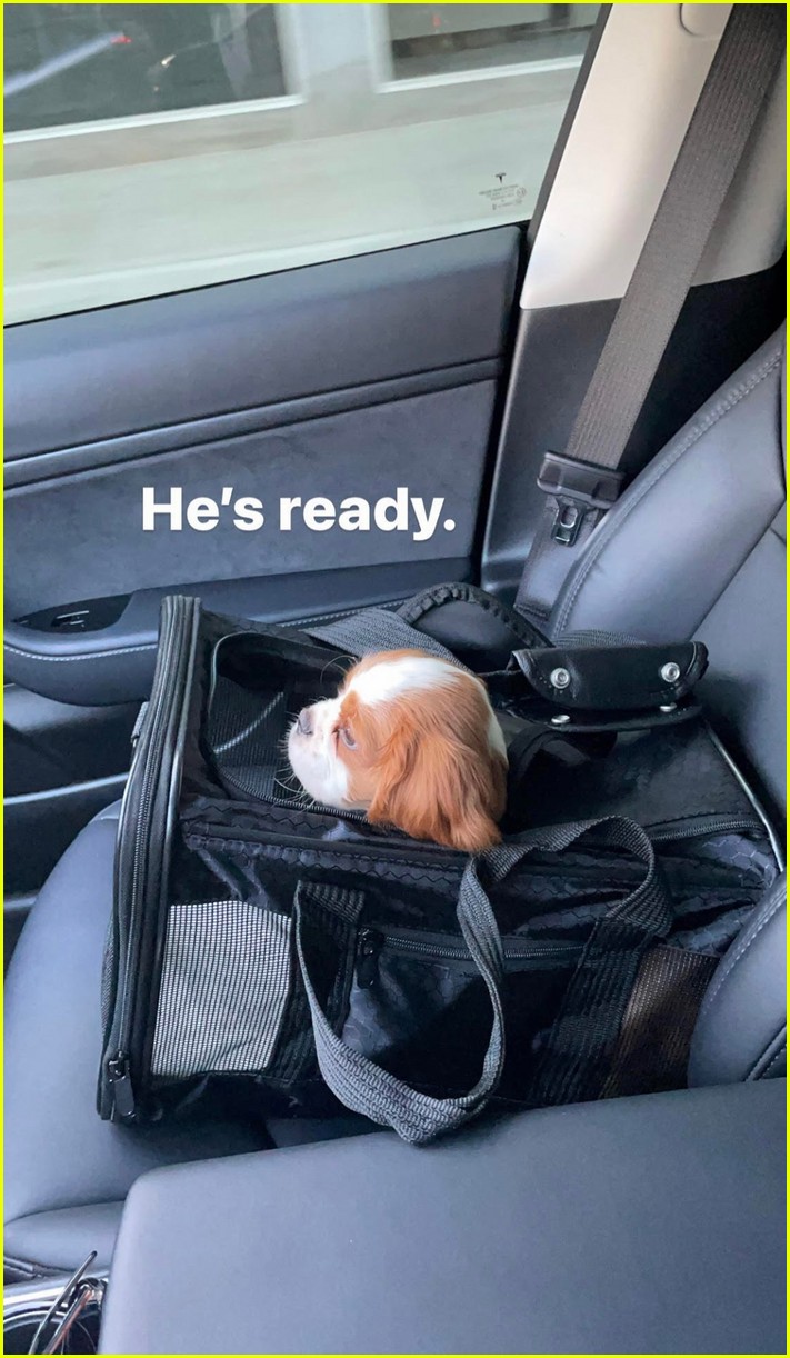Milo Manheim Got The Cutest New Puppy Just Before Christmas