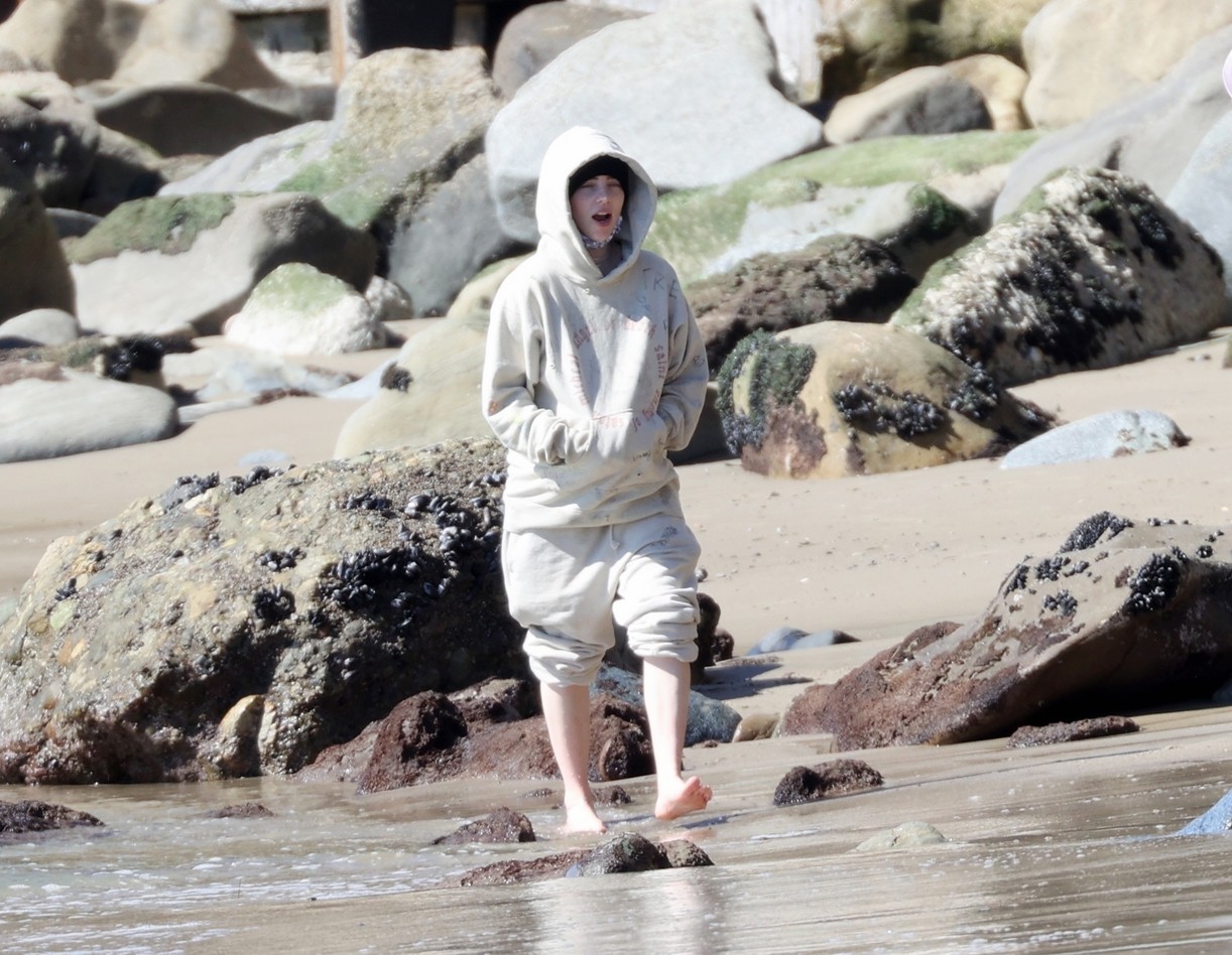Billie Eilish Hits The Beach With Her Dogs & Brother Finneas in LA