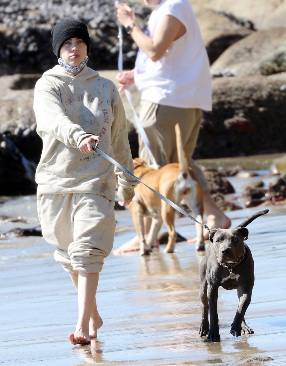 Billie Eilish Hits The Beach With Her Dogs & Brother Finneas in LA