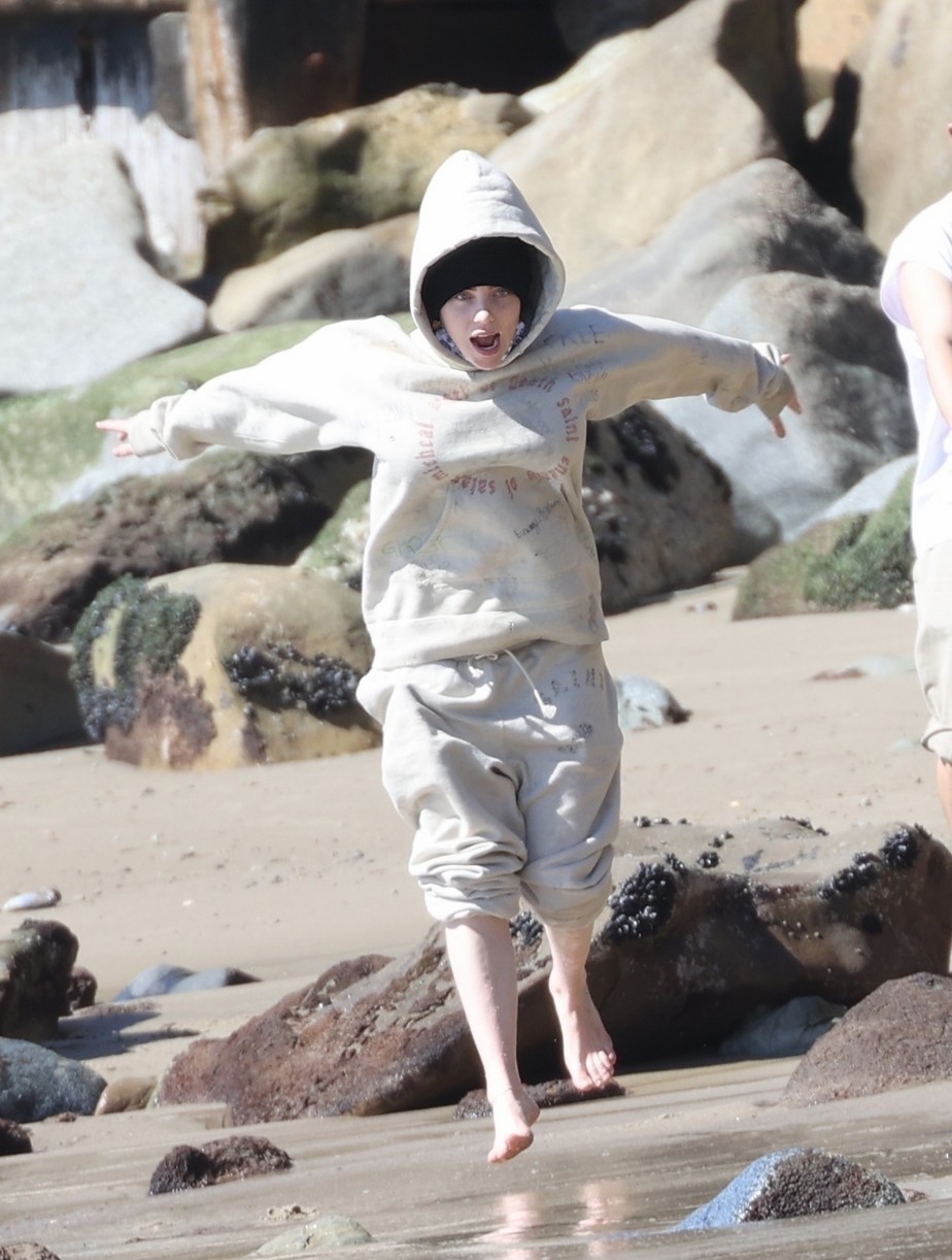 Billie Eilish Hits The Beach With Her Dogs & Brother Finneas in LA
