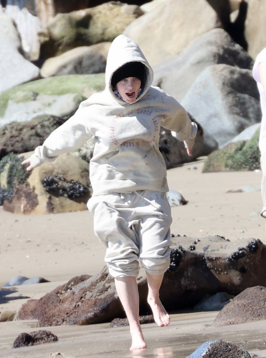 Billie Eilish Hits The Beach With Her Dogs & Brother Finneas in LA