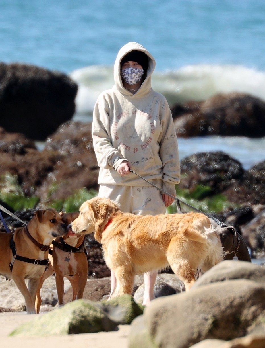 Billie Eilish Hits The Beach With Her Dogs & Brother Finneas in LA