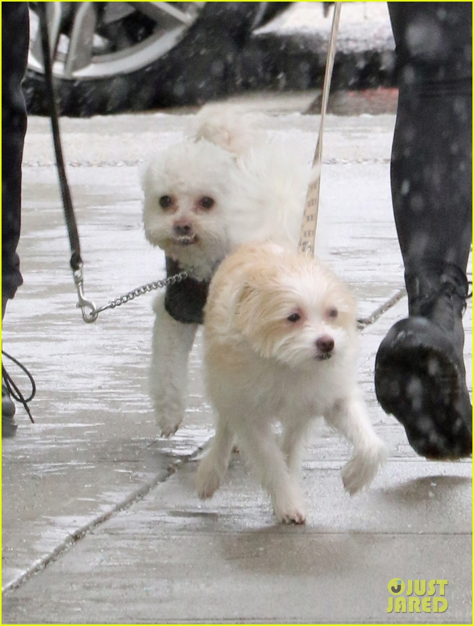 Camila Mendes & Madelaine Petsch Take Their Dogs For a Walk In The Snow