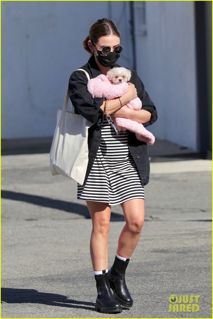 Lucy Hale Introduces Fans to Her New Puppy - Find Out Her Name!