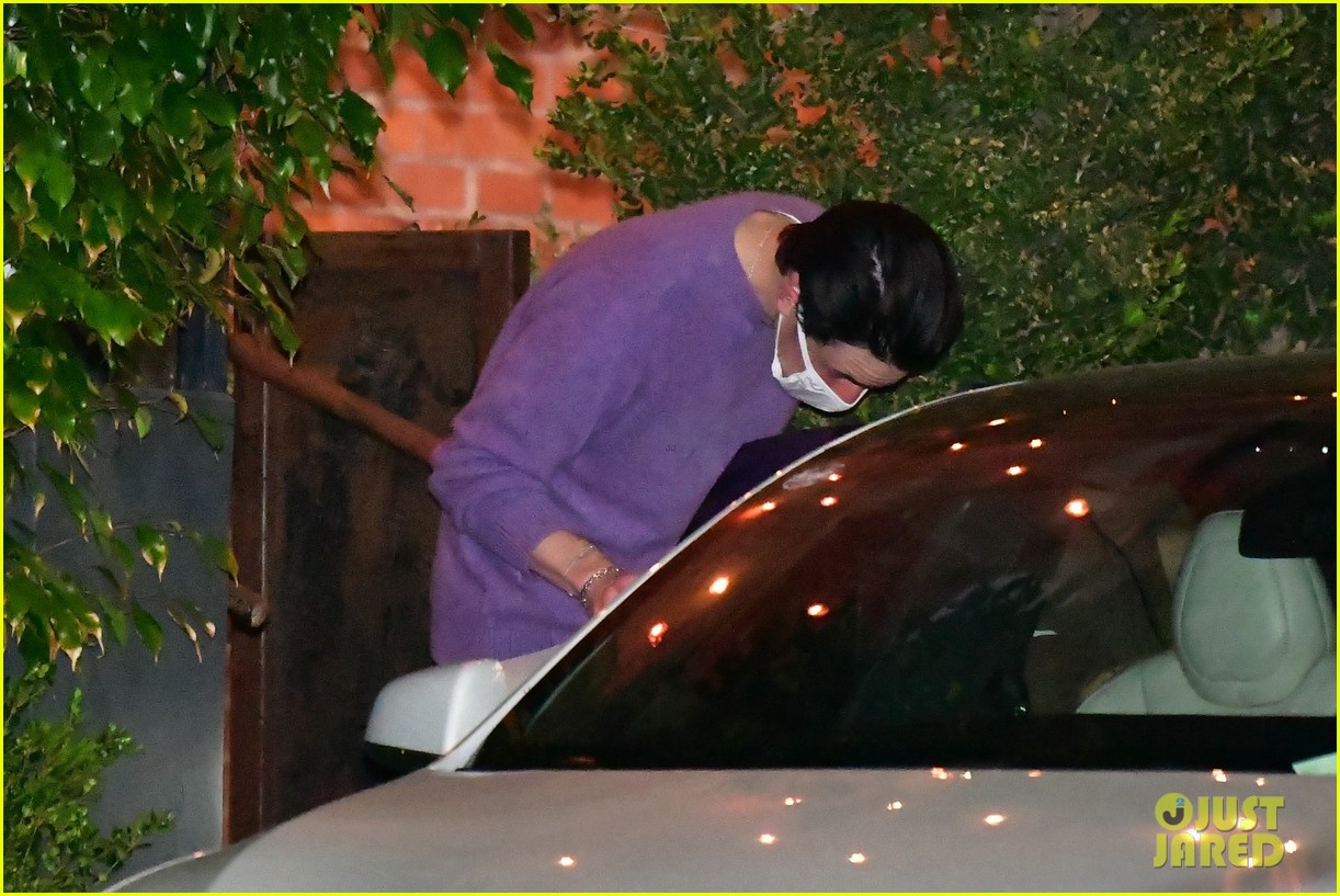 Ariana Grande & Fiance Dalton Gomez Grab Dinner on Rare Night Out