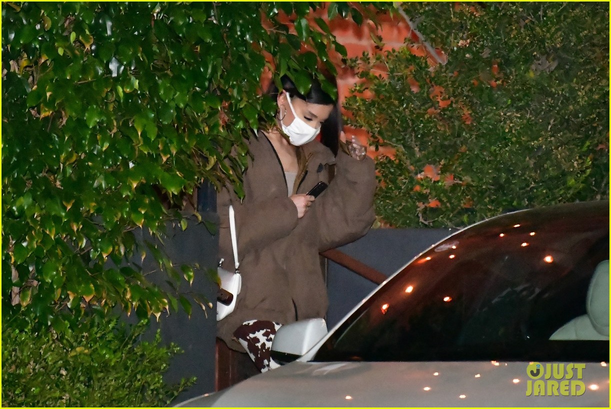 Ariana Grande & Fiance Dalton Gomez Grab Dinner on Rare Night Out