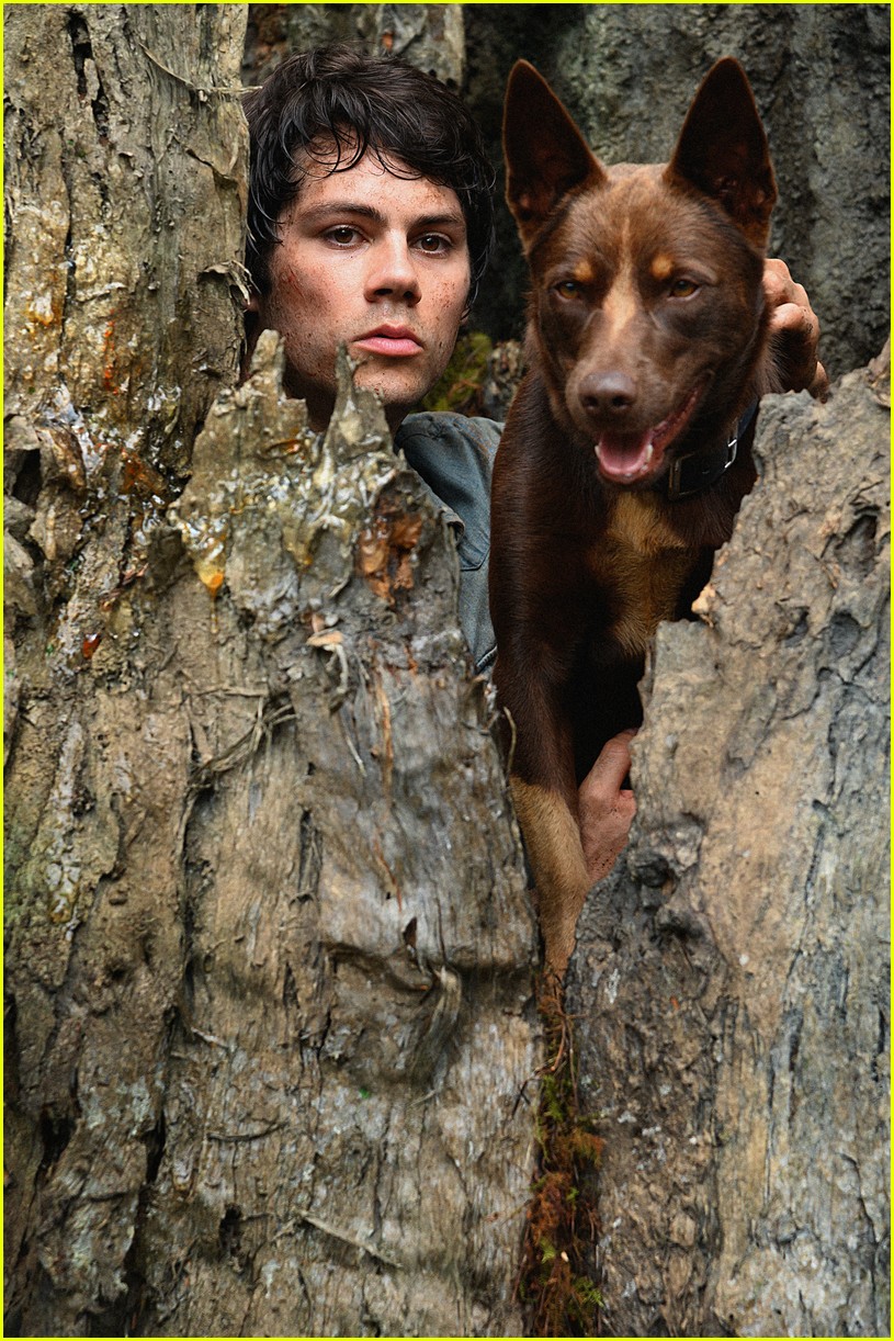 Dylan O'Brien Reveals His Movie 'Love & Monsters' Is Heading To Netflix!