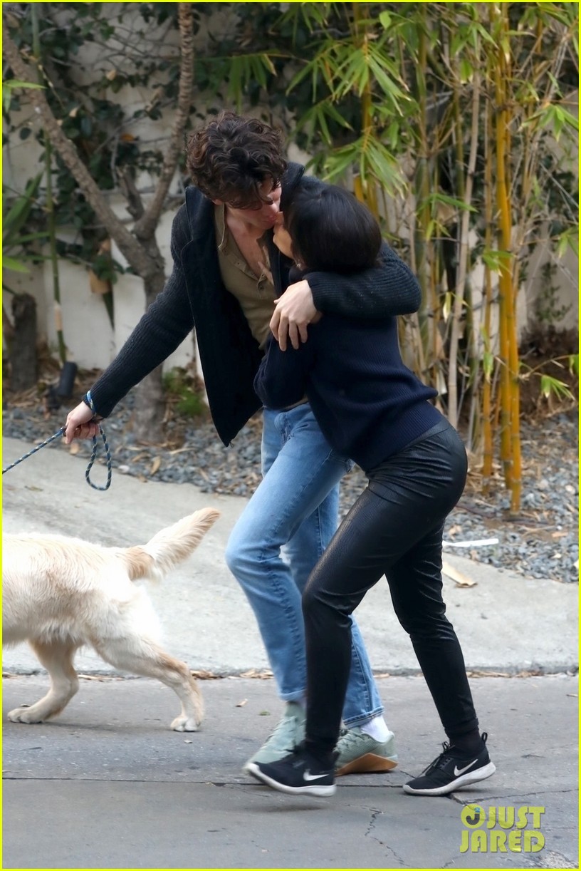 Shawn Mendes & Camila Cabello Keep Close While Walking Their Dog