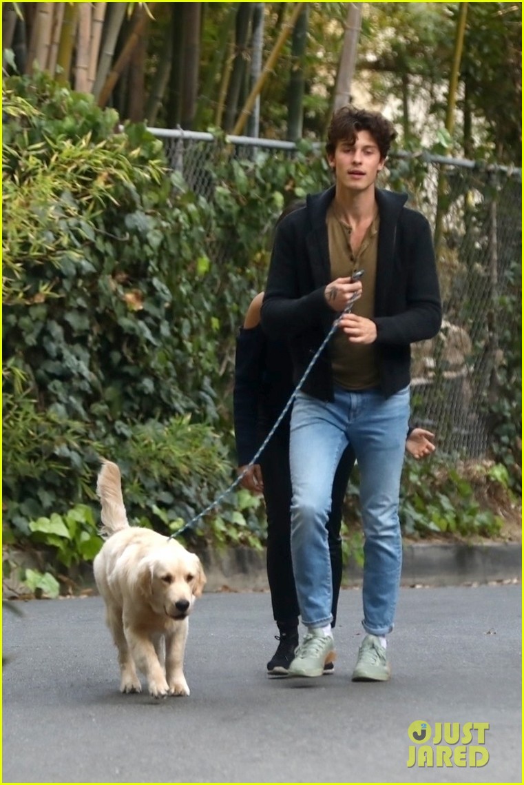 Shawn Mendes & Camila Cabello Keep Close While Walking Their Dog