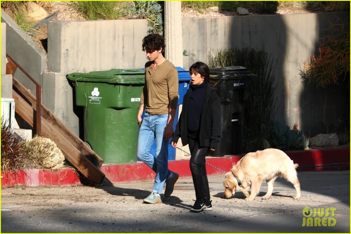 Shawn Mendes & Camila Cabello Keep Close While Walking Their Dog