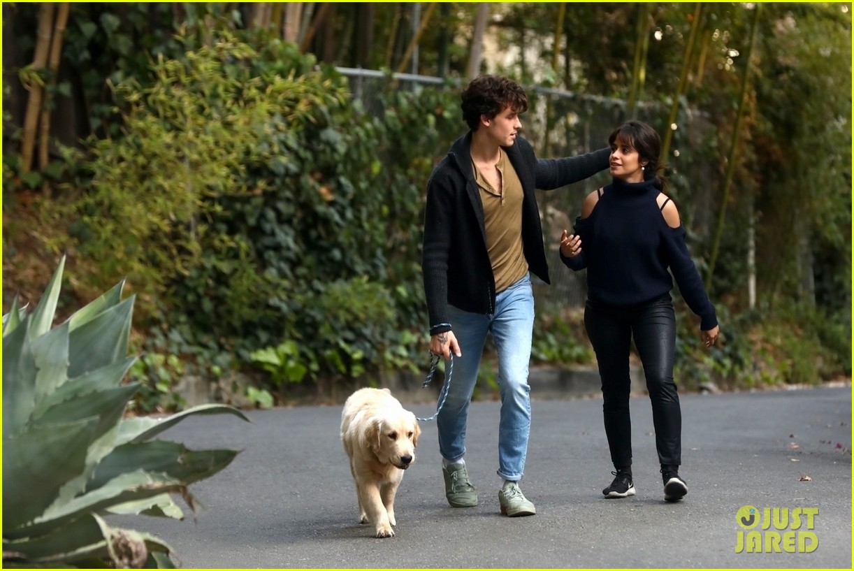 Shawn Mendes & Camila Cabello Keep Close While Walking Their Dog