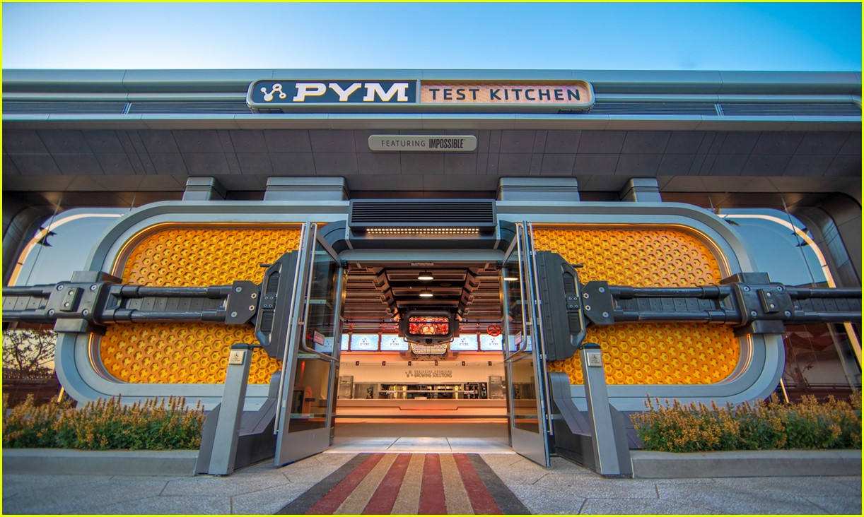 Disney California Adventure Sets Avengers Campus Opening Date, Shares First Look!