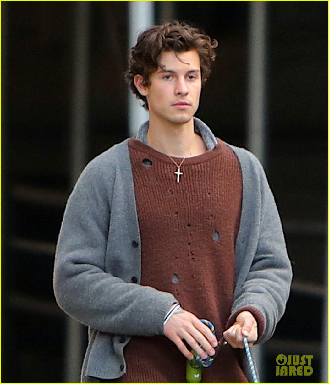 Shawn Mendes & Camila Cabello Made Their Dog Tarzan an Instagram, Plus We Have New Photos!