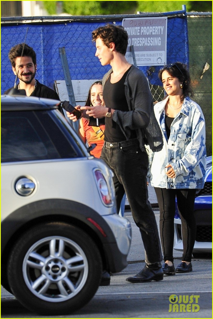 Shawn Mendes & Camila Cabello Grab Dinner with Friends