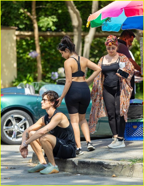 Shawn Mendes & Camila Cabello Enjoy a Walk in the Park!