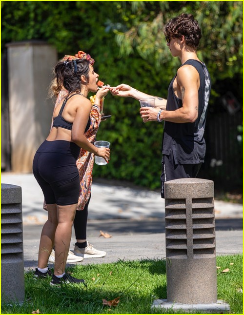 Shawn Mendes & Camila Cabello Enjoy a Walk in the Park!