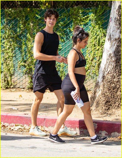 Shawn Mendes & Camila Cabello Enjoy a Walk in the Park!