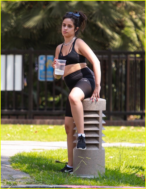 Shawn Mendes & Camila Cabello Enjoy a Walk in the Park!