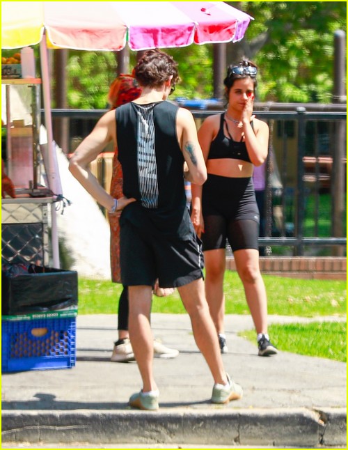 Shawn Mendes & Camila Cabello Enjoy a Walk in the Park!