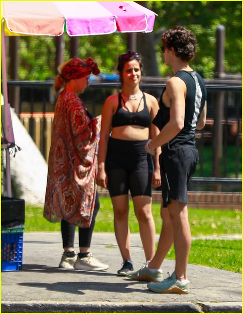 Shawn Mendes & Camila Cabello Enjoy a Walk in the Park!