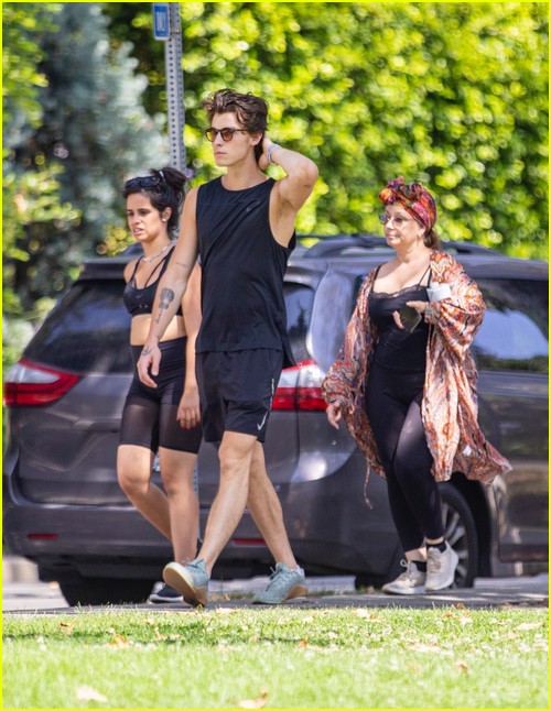 Shawn Mendes & Camila Cabello Enjoy a Walk in the Park!