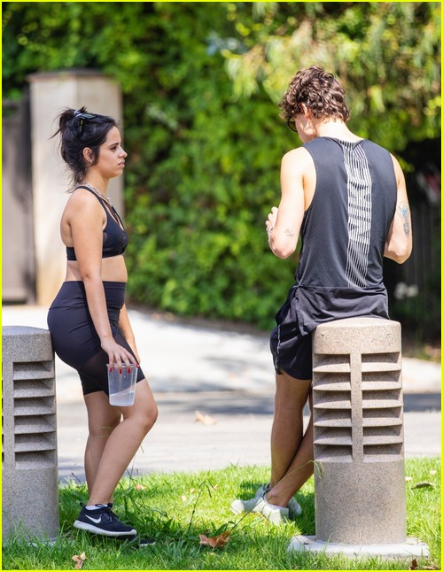 Shawn Mendes & Camila Cabello Enjoy a Walk in the Park!