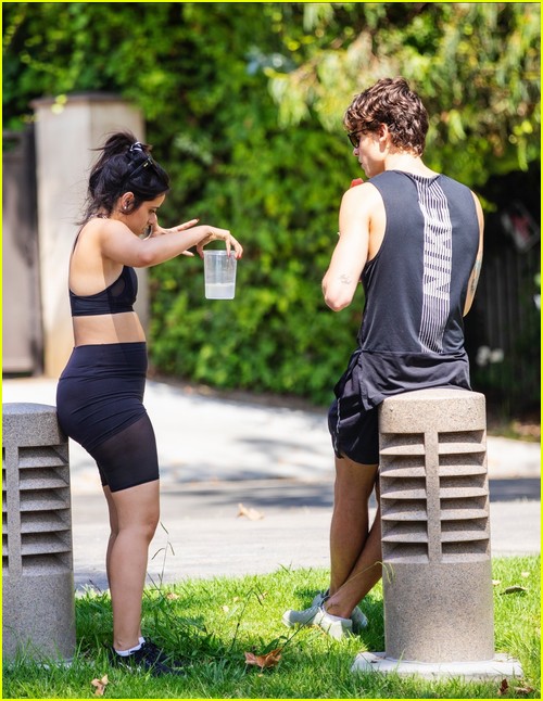 Shawn Mendes & Camila Cabello Enjoy a Walk in the Park!