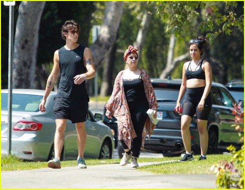 Shawn Mendes & Camila Cabello Enjoy a Walk in the Park!