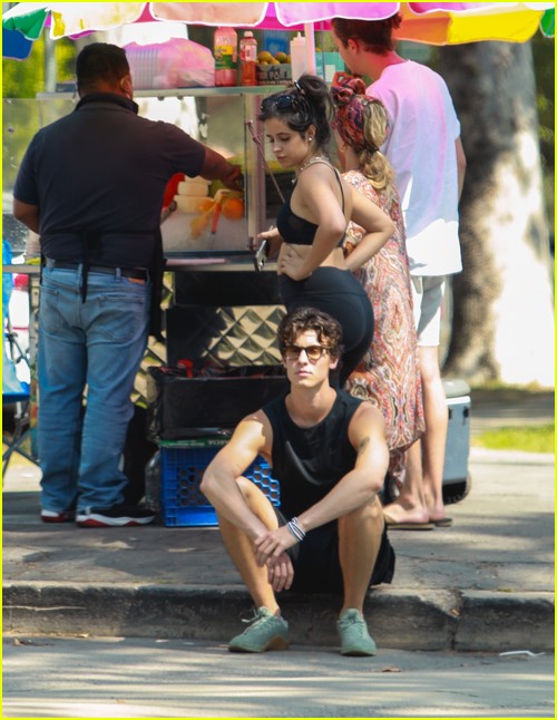 Shawn Mendes & Camila Cabello Enjoy a Walk in the Park!