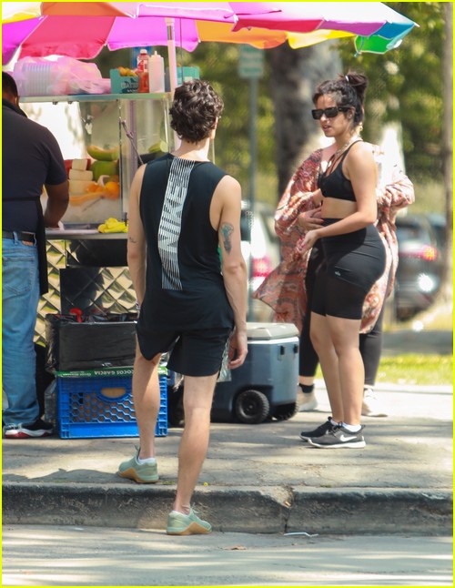 Shawn Mendes & Camila Cabello Enjoy a Walk in the Park!