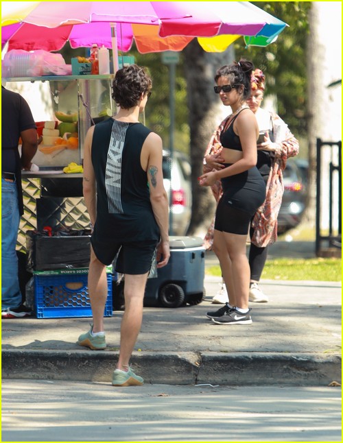 Shawn Mendes & Camila Cabello Enjoy a Walk in the Park!