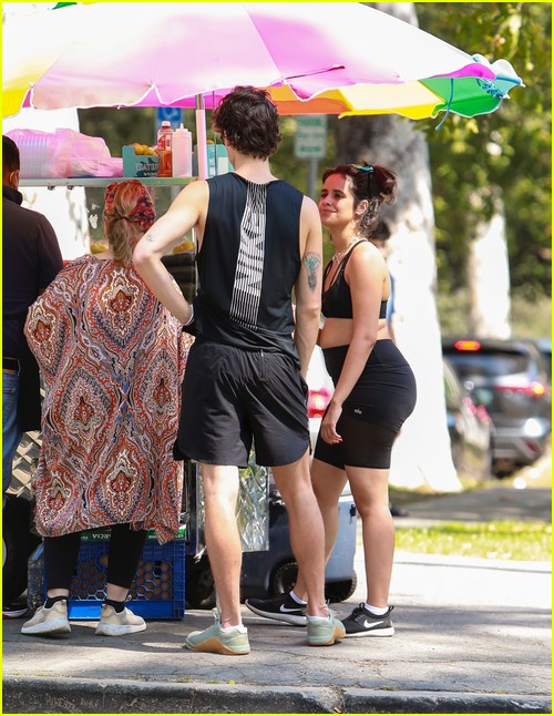 Shawn Mendes & Camila Cabello Enjoy a Walk in the Park!