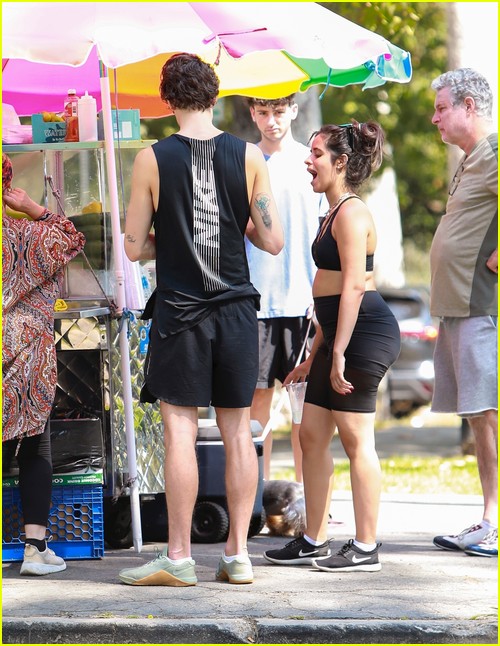 Shawn Mendes & Camila Cabello Enjoy a Walk in the Park!