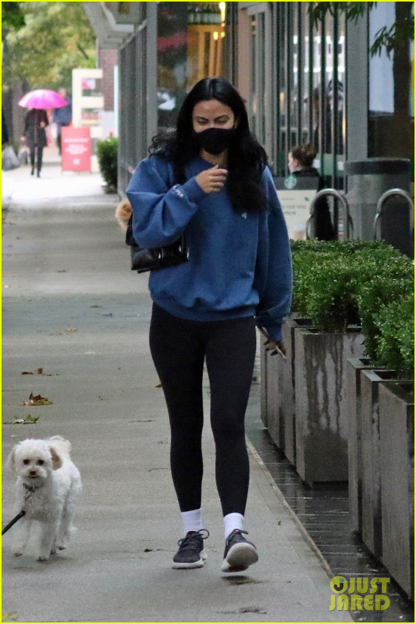 Charles Melton & Camila Mendes Take Her Dog For a Walk Together (Photos)