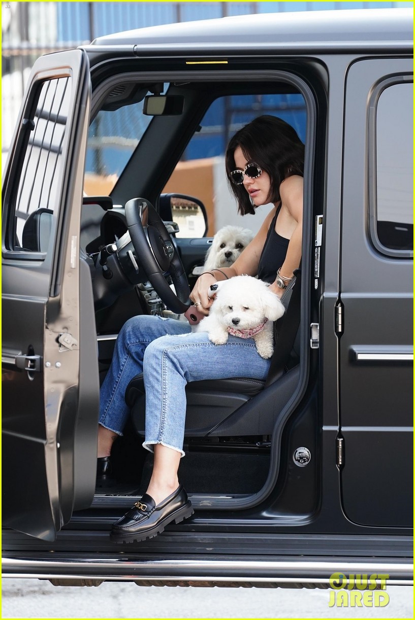 Lucy Hale Brings Her Pups Elvis & Ethel To Doggy Daycare - See the Cute Pics!