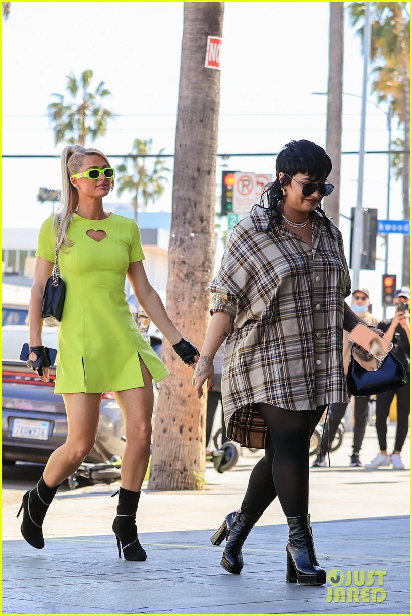 Demi Lovato Meets Up With Paris Hilton for Halloween Costume Shopping