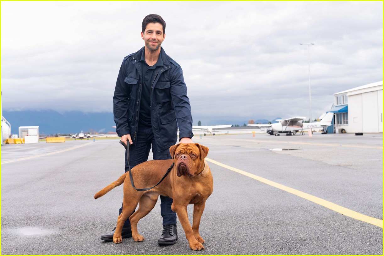 Will 'Turner & Hooch' Return For a Second Season on Disney+? Here's What We Know!