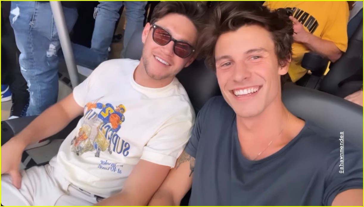 Shawn Mendes & Niall Horan Sat Together at Super Bowl 2022!