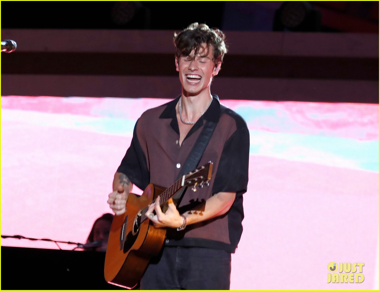 Shawn Mendes To Voice Title Character In Upcoming 'Lyle, Lyle, Crocodile' Movie!